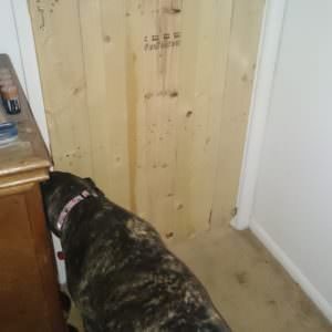 1001pallets.com-pallet-barn-door1