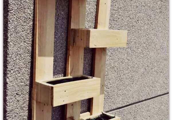 Cantinho-das-aromaticas