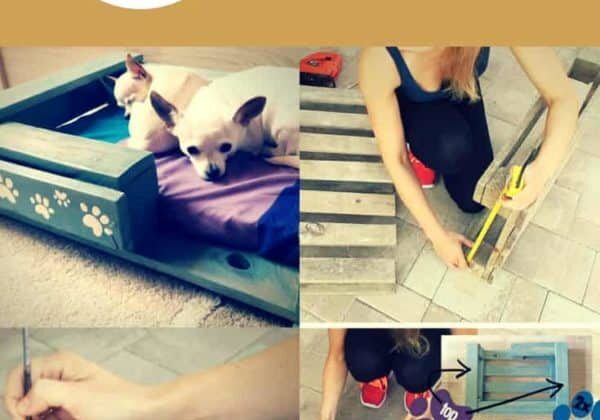 1001pallets.com-how-you-can-create-cute-pet-beds-using-pallets-01
