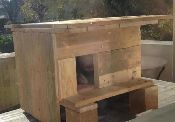 1470707_612726482121440_838094979_n