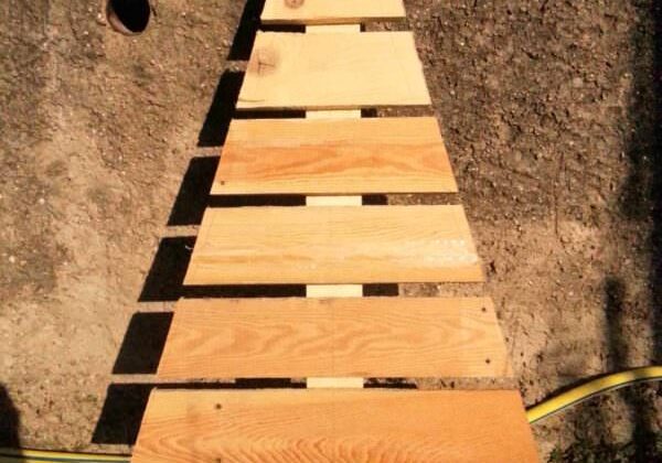 1001pallets.com-sapin-en-pallette