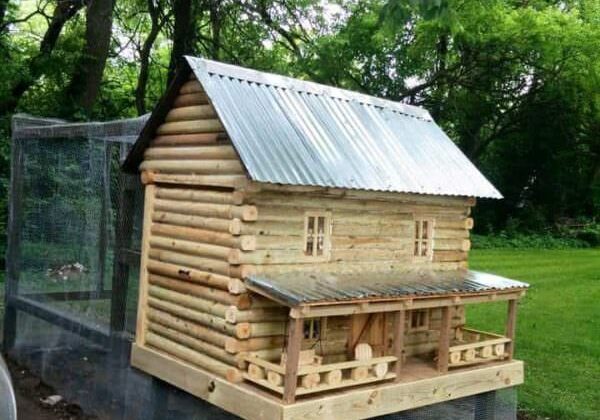 11406966_10153364632374483_7431222561125697072_n