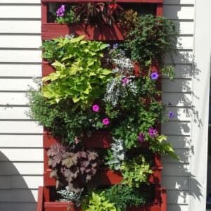 1001pallets.com-how-i-made-this-vertical-planter-from-a-discarded-pallet