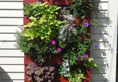 1001pallets.com-how-i-made-this-vertical-planter-from-a-discarded-pallet