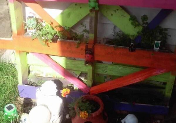 11294301_10204306381726647_868976831_o