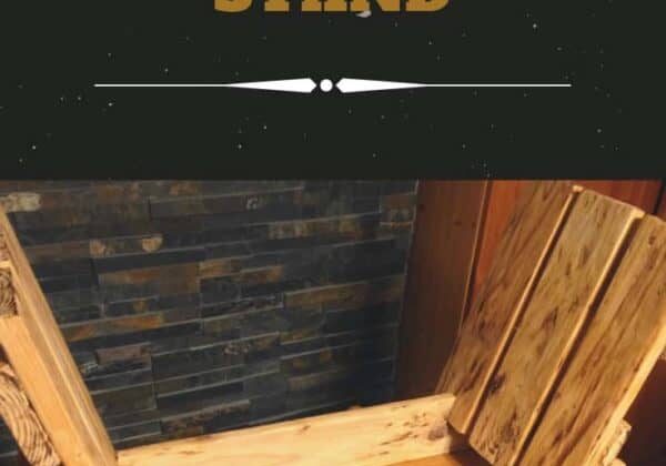 1001pallets.com-one-pallet-vinyl-record-stand-10