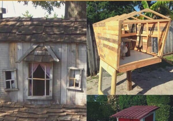 Coops, Hutches & Cages Made From Pallets