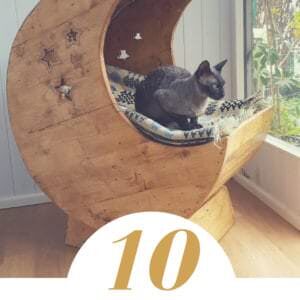1001pallets.com-our-cats-deserve-awesome-cat-pallet-projects-here-s-10-amazing-ideas-for-them-01