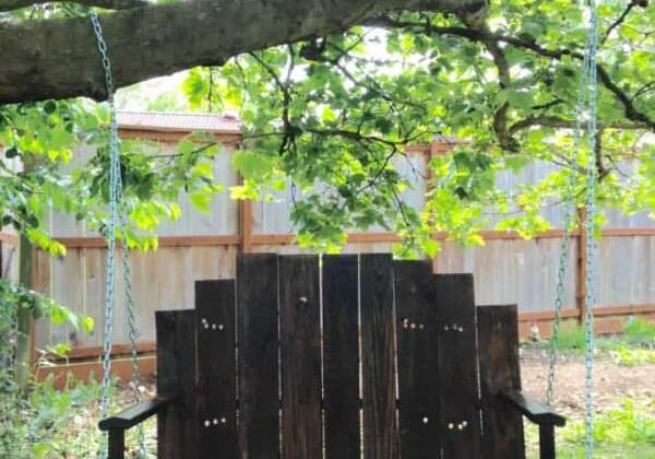 11392806_10153381179023330_3210420197624321674_n