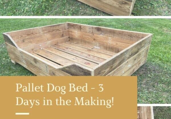 Learn Ways to Cut & Drill Holes In Glass Bottles