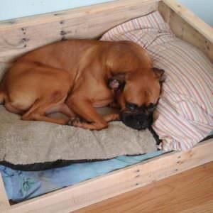 1001pallets.com-palettes-de-bois