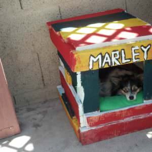 IMG_20130714_140948_955