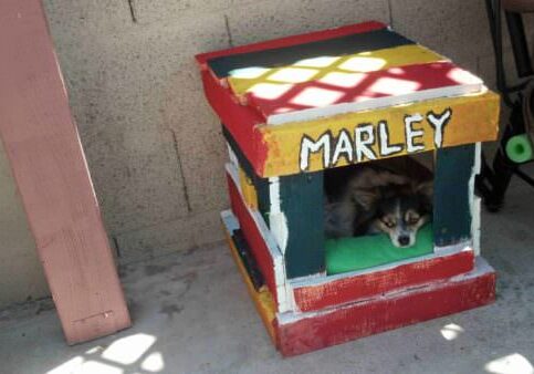 IMG_20130714_140948_955