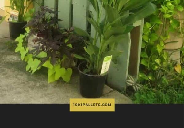 1001pallets.com-pallet-fence-01