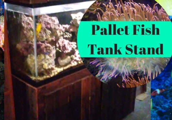 1001pallets.com-pallet-fish-tank-stand-has-decorative-knot-hood-05