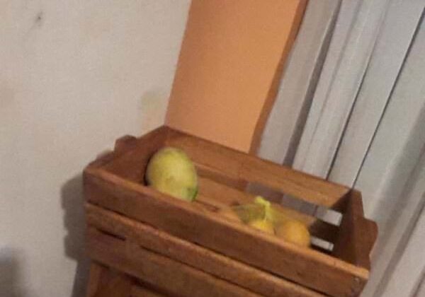 1001pallets.com-fresh-fruits