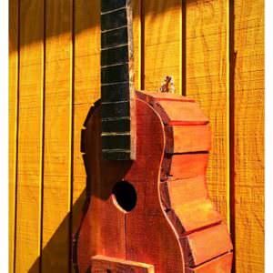 1001pallets.com-pallet-guitar-bird-house-06