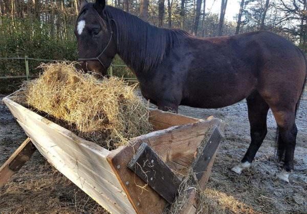 15327619_1013231922155808_418865606_n