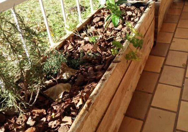 1001pallets.com-herb-garden-kruie-tuin1