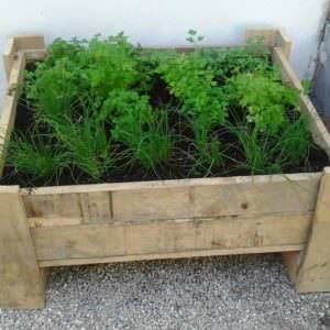 pallet-planter