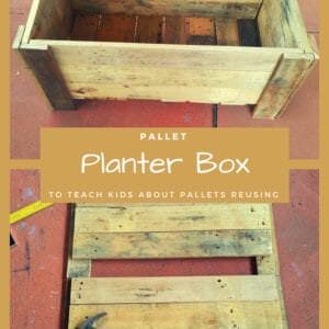 1001pallets.com-pallet-planter-box-to-teach-kids-about-pallets-reusing-06