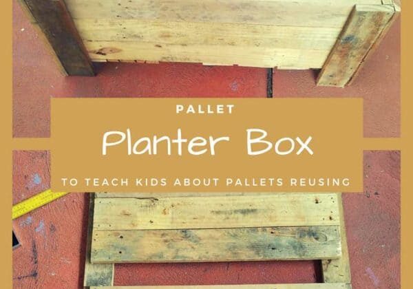 1001pallets.com-pallet-planter-box-to-teach-kids-about-pallets-reusing-06