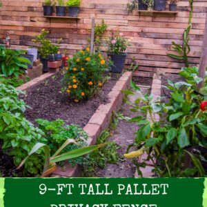 1001pallets.com-pallet-privacy-fence-creates-stylish-garden-area-01