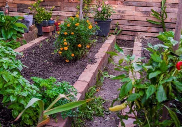 1001pallets.com-pallet-privacy-fence-creates-stylish-garden-area-01