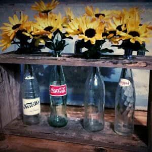 10269365_1002431756450804_8773836079042682099_n