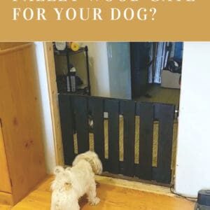 1001pallets.com-pallet-wood-gate-for-the-dog-02