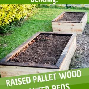 1001pallets.com-pallet-wood-raised-planter-beds-carre-potager-en-pallet-06