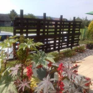 1174770_10151834491102970_1041052702_n