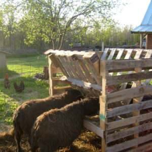 <KENOX S630  / Samsung S630>