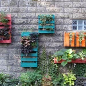 1001pallets.com-pallets-wall-gardens-01