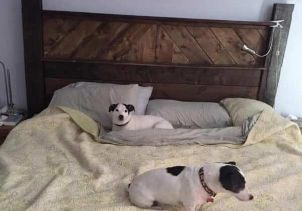 1001pallets.com-patterned-pallet-headboard-06