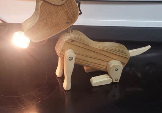 12067223_10200768014198367_464899225_n-Copy