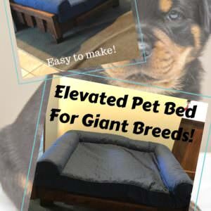 1001pallets.com-raised-pallet-dog-bed-keeps-sadie-comfy-01