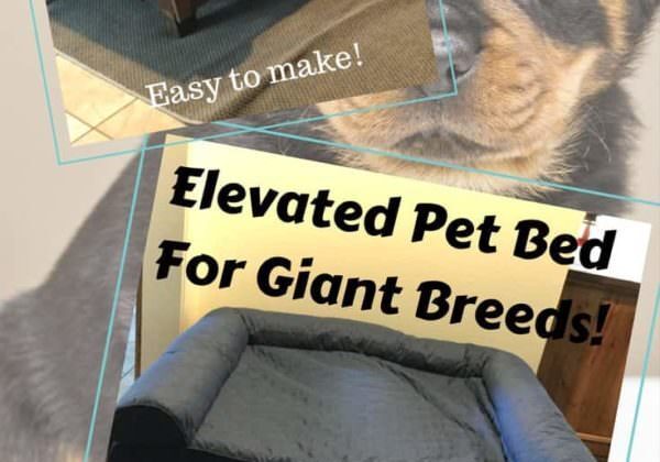 1001pallets.com-raised-pallet-dog-bed-keeps-sadie-comfy-01