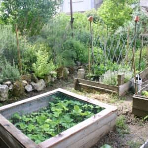 1001pallets.com-raised-pallet-garden-beds-carre-potager-01