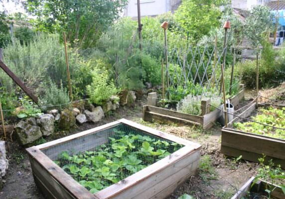 1001pallets.com-raised-pallet-garden-beds-carre-potager-01