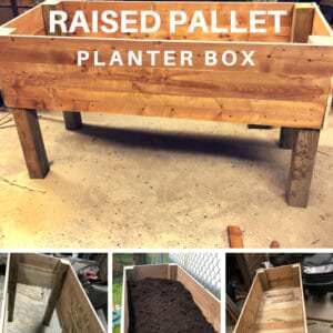 1001pallets.com-raised-pallet-planter-box-08