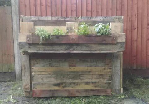 11866282_1012563725462820_3324942824306847560_n