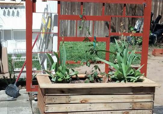 self_watering_planter1