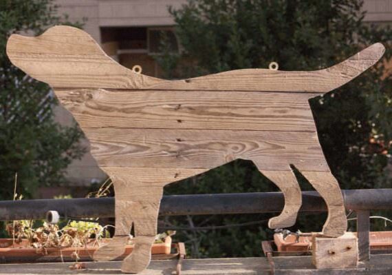 shabby-chic-labrador02