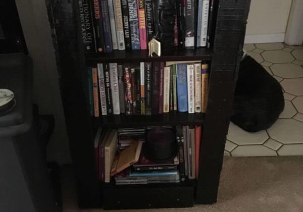 1001pallets.com-bookcase