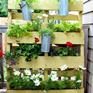 plants-in-a-pallet-e1338256073944