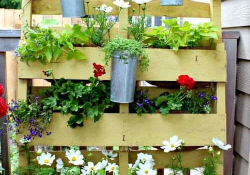plants-in-a-pallet-e1338256073944