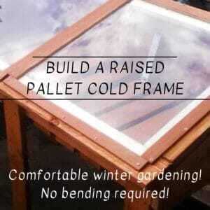 1001pallets.com-sun-worshipping-raised-pallet-cold-frame-for-winter-growing-04