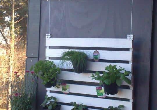 pallet suspended vertical garden