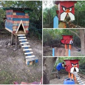 angrybird-chicken-coop
